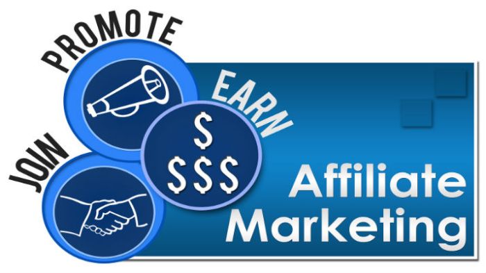 affiliate-marketing-programs-dsim.jpg